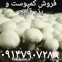 خرید کمپوست قارچ کمپوست خاک پوششی در گروه خرید و فروش کود کمپوست در یکمیوه