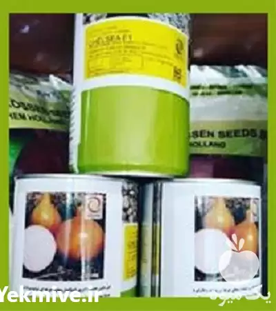 فروش عرضه بذر پیاز انزا چلسی در گروه خرید و فروش بذر پیاز در یکمیوه -عکس1