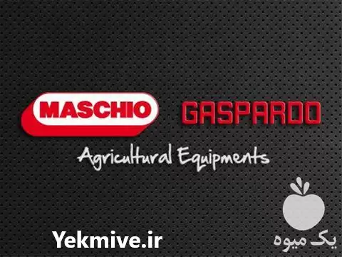 قیمت خرید نمایندگی ماسکیوگاسپ اردو ایتالیا در گرگان در گروه خرید و فروش رتیواتور در یکمیوه -عکس1