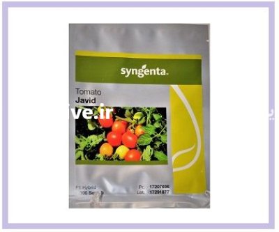 بذر گوجه Javid سینجینتا سوئیس _ در اهواز در گروه خرید و فروش بذر گوجه در یکمیوه -عکس1