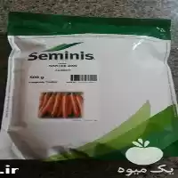 فروش ارزان بذر هویج مرغوب نانتس در گروه خرید و فروش بذر هویج در یکمیوه