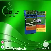 بذر چمن بذر چمن در تهران در گروه خرید و فروش بذر چمن در یکمیوه