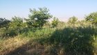فروش باغ گردو 2000 متر