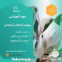 دوره آموزشی گل گیاهان زینتی خانگی