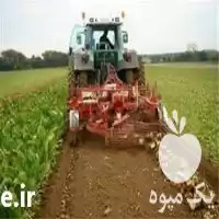 قیمت خرید کمباین چغندر در مشهد در گروه خرید و فروش دستگاه چغندر در یکمیوه