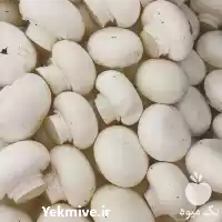 قیمت خرید کمپوست ملارد و خاک در گروه خرید و فروش کود کمپوست در یکمیوه