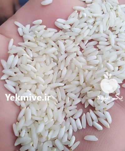 بهترین برنج عنبربو در اصفهان در گروه خرید و فروش رب در یکمیوه -عکس1