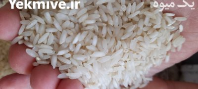 بهترین برنج عنبربو در اصفهان در گروه خرید و فروش رب در یکمیوه -عکس3