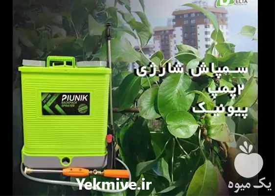 فروش سمپاش شارژی 2 پمپ پیونیک در سنندج در گروه خرید و فروش سمپاش در یکمیوه -عکس1