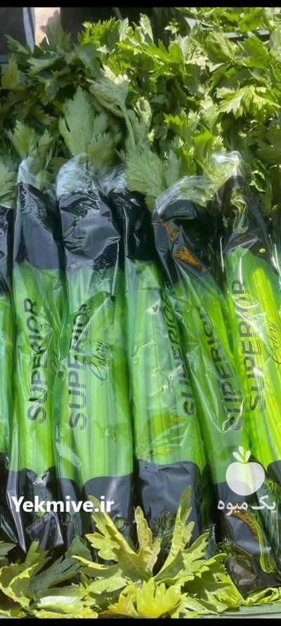 تامین کننده انواع محصول کشاورزی در گروه خرید و فروش محصولات صیفی در یکمیوه -عکس3