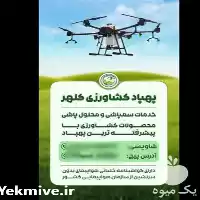 پهپاد کشاورزی کلهر در گروه خدمات باغبانی در یکمیوه