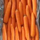 تامین کننده انواع محصول کشاورزی در گروه خرید و فروش محصولات صیفی در یکمیوه