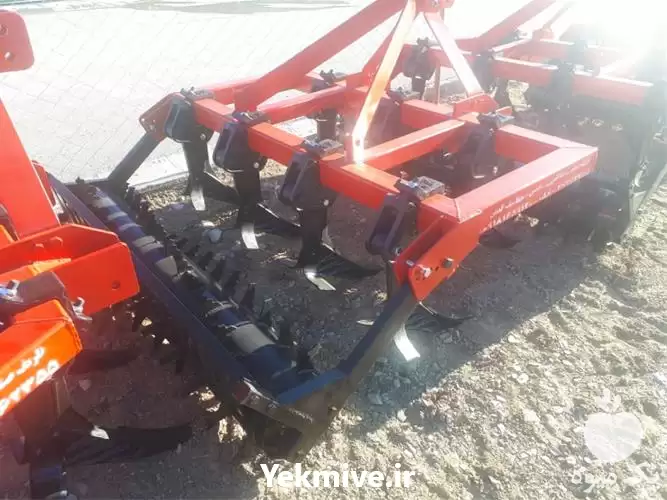 فروش چیزل شاخه شاخه خاکورز در گروه خرید و فروش چیزل در یکمیوه -عکس1