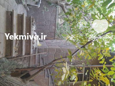 اجرای سنگ لاشه شماره تماس در گروه سازنده در یکمیوه -عکس2