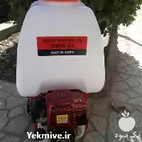 قیمت خرید سم پاش پشتی موتوری در کرج در گروه خرید و فروش سمپاش در یکمیوه