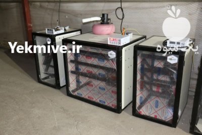 دستگاه های جوجه کشی در گروه تجهیزات مرغداری در یکمیوه -عکس3