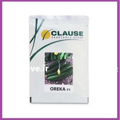 فروش بذر خیار هیبرید اورکا کلوز در اهواز در گروه خرید و فروش بذر خیار در یکمیوه -عکس1