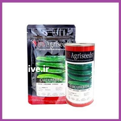 فروش بذر خیار Rider یو اس در اهواز در گروه خرید و فروش بذر خیار در یکمیوه -عکس1