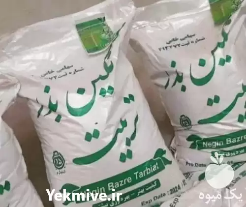 قیمت خرید بذر یونجه درجه یک در اهواز در گروه خرید و فروش بذر یونجه در یکمیوه -عکس1