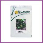 فروش بذر خیار هیبرید اورکا کلوز در اهواز در گروه خرید و فروش بذر خیار در یکمیوه