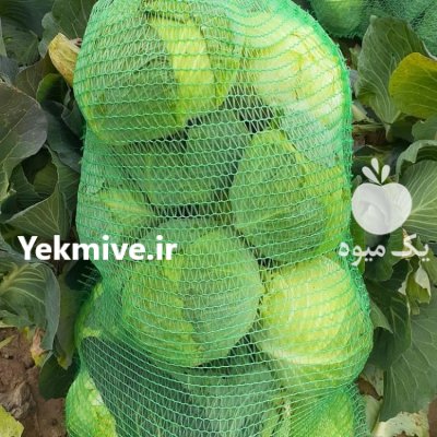 تامین کننده انواع صیفیجات در اهواز در گروه خرید و فروش محصولات صیفی در یکمیوه -عکس1