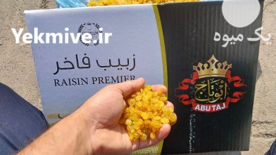 کشمش طلایی درجه یک در ملکان در گروه خرید و فروش آجیل در یکمیوه -عکس1