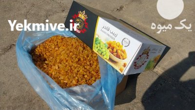 کشمش طلایی درجه یک در ملکان در گروه خرید و فروش آجیل در یکمیوه -عکس3