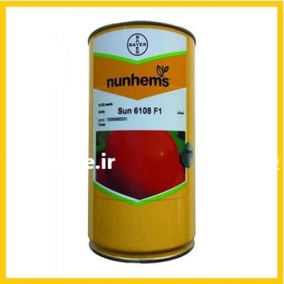 فروش بذر گوجه فرنگی نانهمز 6108 در اهواز در گروه خرید و فروش بذر گوجه در یکمیوه -عکس1