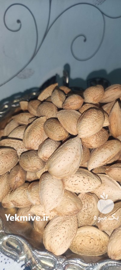 بادام سنگی و مغز بادام در گروه خرید و فروش بادام در یکمیوه -عکس1