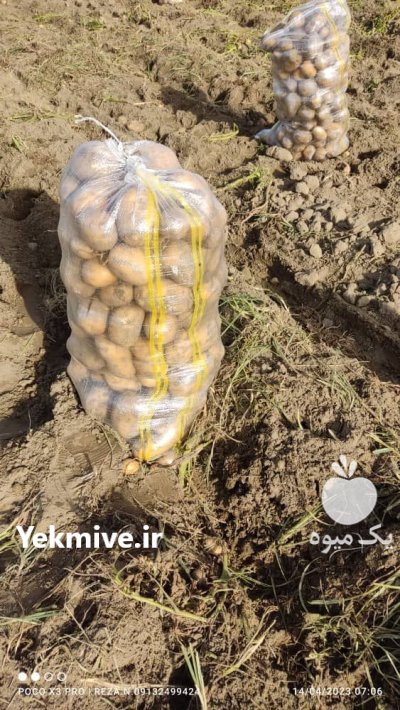 سیب زمینی در اهواز در گروه خرید و فروش سیب زمینی در یکمیوه -عکس1