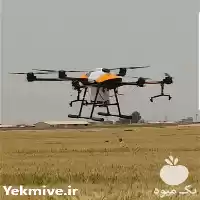 سمپاشی سم پاشی زمین های کشاورزی در همدان در گروه خدمات باغبانی در یکمیوه