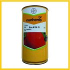 فروش بذر گوجه فرنگی نانهمز 6108 در اهواز در گروه خرید و فروش بذر گوجه در یکمیوه