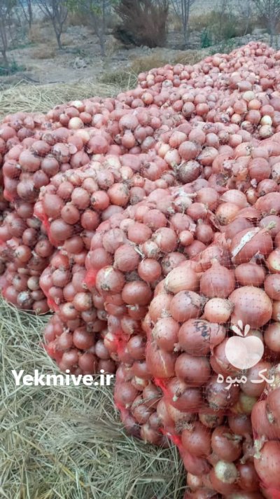 تامین کننده صیفیجات و سبزیجات دزفول در گروه خرید و فروش محصولات صیفی در یکمیوه -عکس2