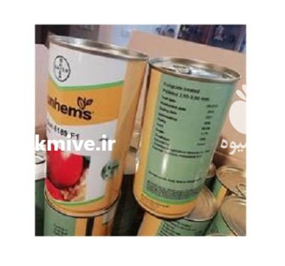 فروش ارسال بذر گوجه فرنگی نانهمز در اهواز در گروه خرید و فروش بذر گوجه در یکمیوه -عکس1