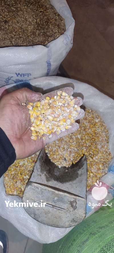 دان مرغ دون مرغ مرغ تخمگذار در گروه خوراک دام و طیور در یکمیوه -عکس1