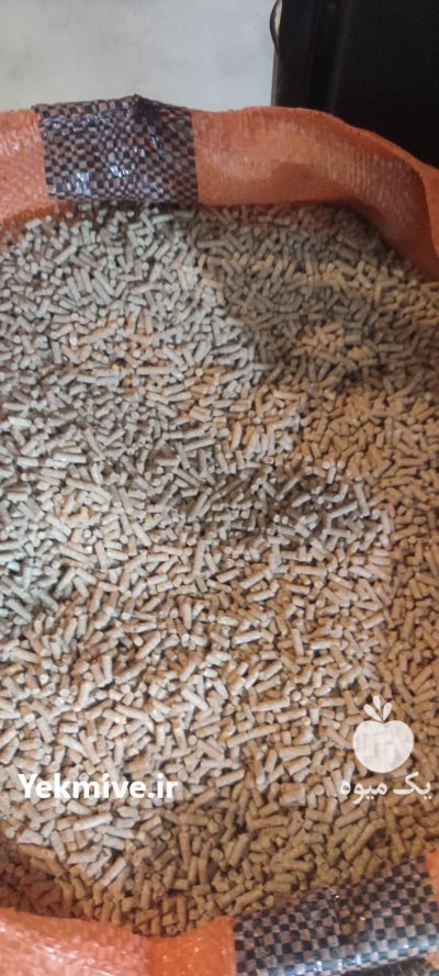 دان دون مرغی دان خوراک گندم در رباط کریم در گروه مرغ و خروس و بوقلمون و اردک قو قاز در یکمیوه -عکس1