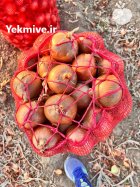 فروش پیاز زرد فلات و قرمز در بجنورد در گروه خرید و فروش پیاز در یکمیوه