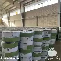 تولید فروش نوار تیپ لوله قطر در تهران در گروه خرید و فروش نوار تیپ در یکمیوه