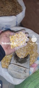 دان مرغ دون مرغ مرغ تخمگذار در گروه خوراک دام و طیور در یکمیوه