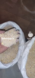 دان پلت دان مرغ تخمگذار زنده در شهریار در گروه خوراک دام و طیور در یکمیوه