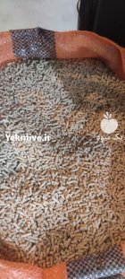 دان دون مرغی دان خوراک گندم در رباط کریم در گروه مرغ و خروس و بوقلمون و اردک قو قاز در یکمیوه