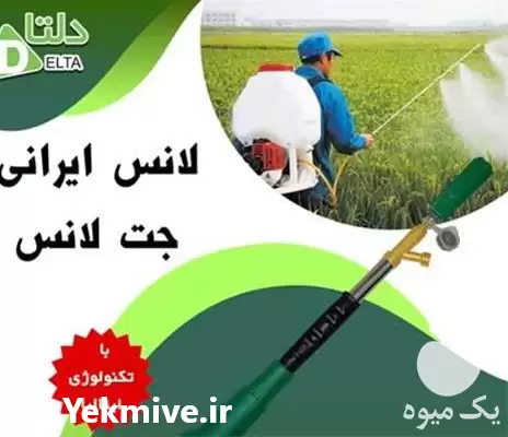 سمپاشی درختان لانس ایرانی در تهران در گروه خدمات باغبانی در یکمیوه -عکس1