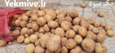 فروش سیب زمینی در اصفهان در گروه خرید و فروش سیب زمینی در یکمیوه -عکس1