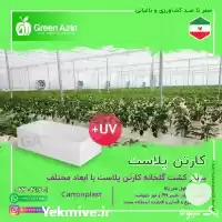 قیمت خرید عمده کارتن پلاست در گروه خرید و فروش انواع بسته بندی کارتن در یکمیوه