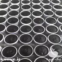 فروش رب انار ناربال رب انار در تهران در گروه خرید و فروش رب در یکمیوه