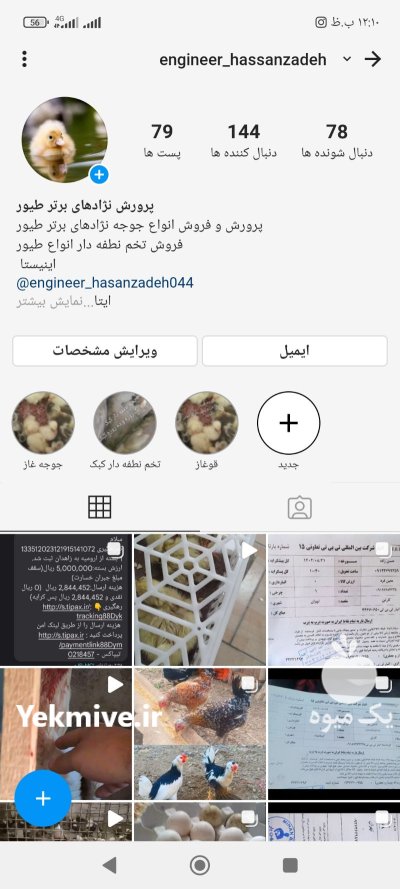 تخم نطفه دار انواع طیور در کرج در گروه انواع تخم ها در یکمیوه -عکس4