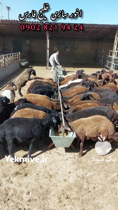 اوخور آخور ابخور آخور آبخور آبشخور در تهران در گروه تجهیزات دامداری در یکمیوه -عکس2