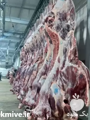 قیمت خرید گوشت گوساله و گوسفند کشتار در کرج در گروه گاو و گوسفند و میش و بز کهره گوساله در یکمیوه -عکس1