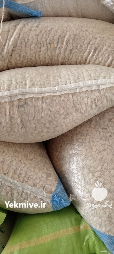 تخمه کدو آجیلی در آباده در گروه خرید و فروش انواع تخمه در یکمیوه -عکس2