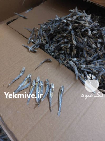 ماهی خشک متوتا در گروه خوراک شیلات و آبزیان در یکمیوه -عکس1